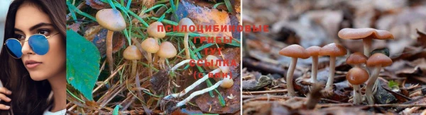 меф Белоозёрский